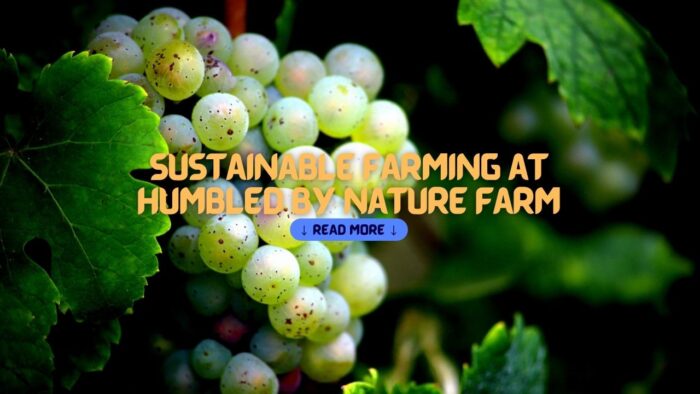 Sustainable Farming at Humbled By Nature Farm