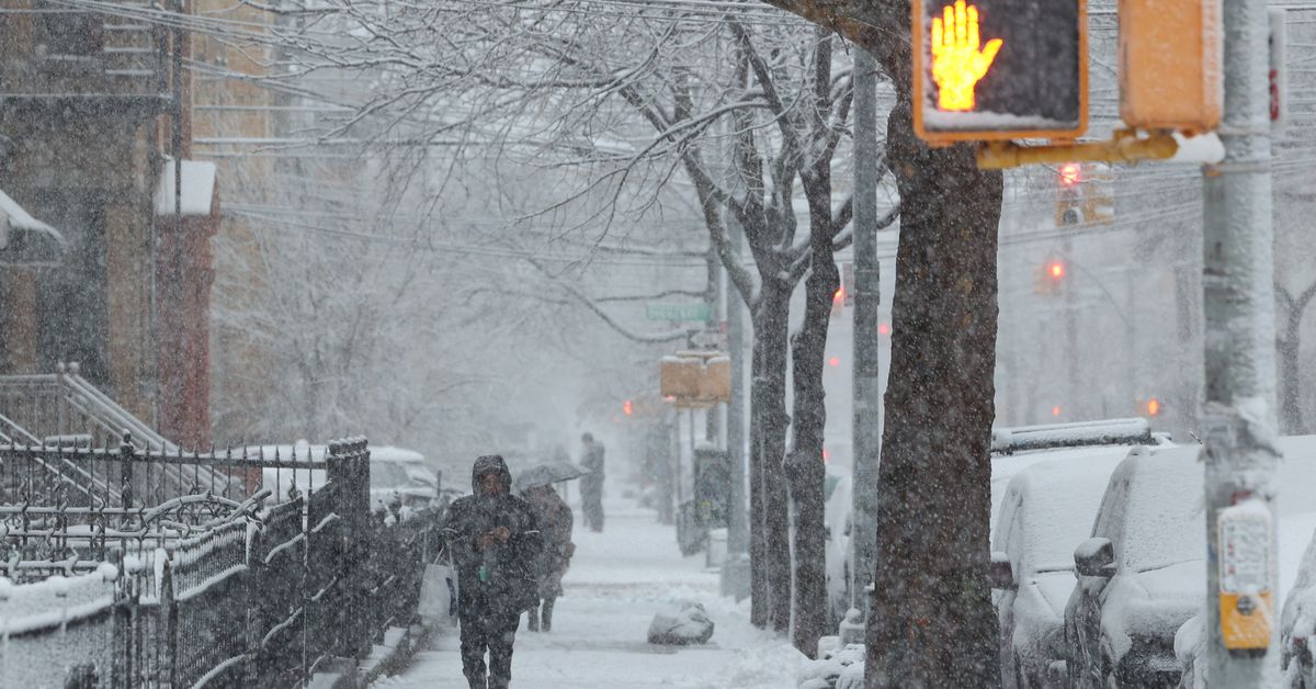 A distant college outage would possibly give NYC children their snow day in spite of everything