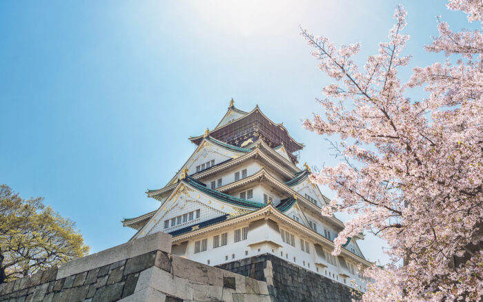 Osaka Cherry Blossoms at the Castle